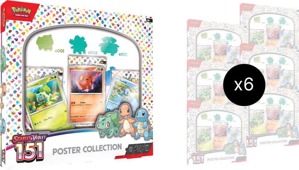 151 - Poster Collection Case