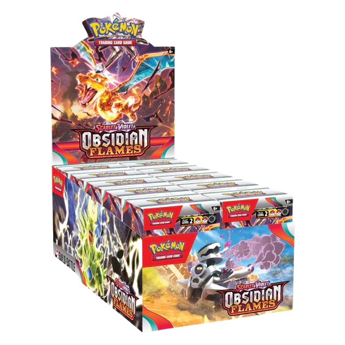 Obsidian Flames - Build & Battle Box Display