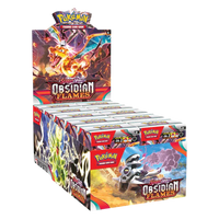 Obsidian Flames - Build & Battle Box Display